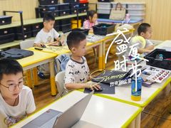 -雄孩子机器人少儿编程STEM教育(迪诺水镇校区)