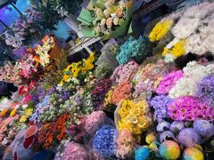 -花鸟鱼虫鲜花绿植市场(玉泉路店)