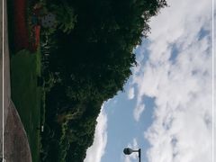 -金鸡山公园