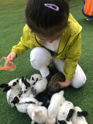 -萌宠亲子动物乐园(槐房万达店)