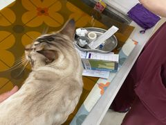-美联众合动物医院·24h京西诊疗中心