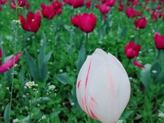 -长春公园(普阳街道)