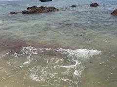 -七鲜渔港美食餐厅(巽寮湾海景店)