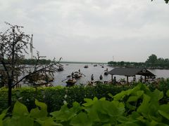 -白洋淀景区