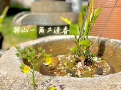 -转山咖啡(松柏社区店)