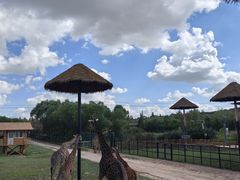 -鄂尔多斯野生动物园