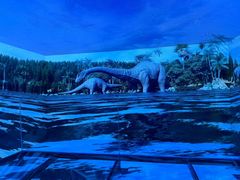 -深圳独角兽星空艺术馆