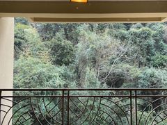 -韶关经律论国际酒店温泉