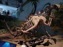 -自贡恐龙博物馆