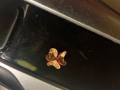 -初蓉丨遇见新川菜(亲贤街荣耀店)