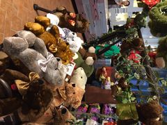 -济州岛泰迪熊博物馆