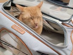 -瑞派康怡24h宠物医院·犬猫医疗中心·微创绝育(瑞景分院)