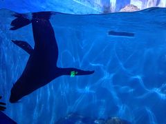-多彩贵州城极地海洋世界