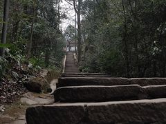 -缙云山景区
