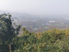 -九曜山