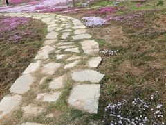 -棒棰岛宾馆景区
