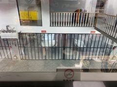 -天猫养车贴膜轻改·蓝电(优匹康桥东路店)