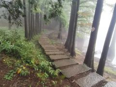 -四明山国家森林公园