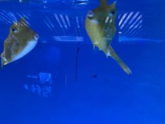 -青岛海底世界-水族馆