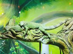 -华夏文旅海洋公园