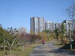 -望湖公园