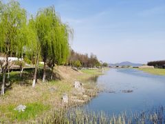 -太湖湖滨国家湿地公园-停车场