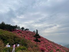 -木兰云雾山