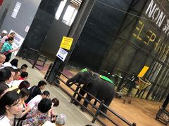 -东芭乐园