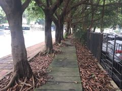 -广州神农草堂中医药博物馆