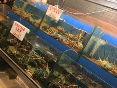 -真浪花园海鲜餐馆
