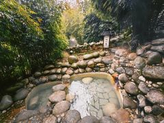 -三江森林温泉度假区