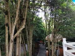 -普陀山慧济禅寺