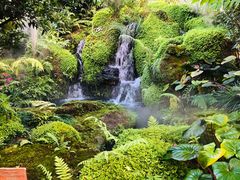 -Chom Cafe and Restaurant