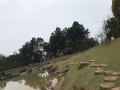 -铁山坪森林公园