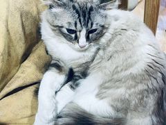 -白兔子密室(长寿路店)