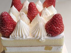 -刘胖子家常菜·蹄花焖藕(兴业店)