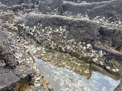-辽宁团山国家级海洋公园