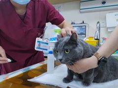 -美联众合动物医院·24h京西诊疗中心
