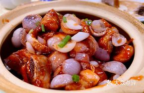 Red Onion Braised Pork Ribs