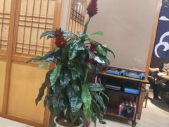 -鲜鲜·鲅鱼圈海鲜(于洪店)