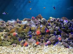 -福州罗源湾海洋世界旅游区