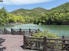 -白马涧龙池景区