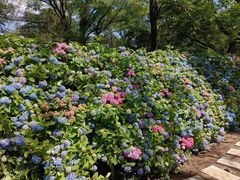 -沈阳植物园