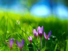 -武汉汉口火车站东方建国大酒店