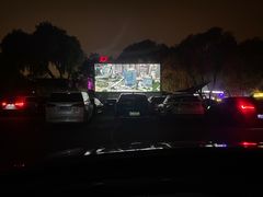 -枫花园汽车电影院(朝阳公园店)