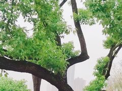 -武汉动物园