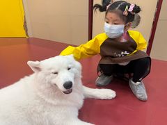 -和它·交个朋友·狗咖猫咖(爱琴海店)