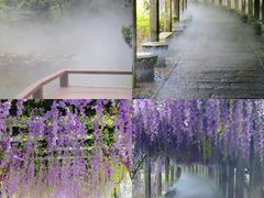 -太姥山风景名胜区