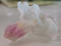 -冬哥川菜馆(十梓街店)
