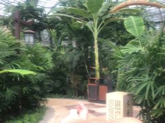 -瑞阁温泉酒店温泉中心